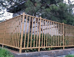 91短视频在线免费观看籬笆 91短视频在线免费观看籬笆